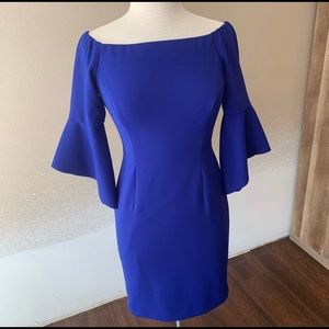 Antonio Melani Dress. Size 2 (0356)